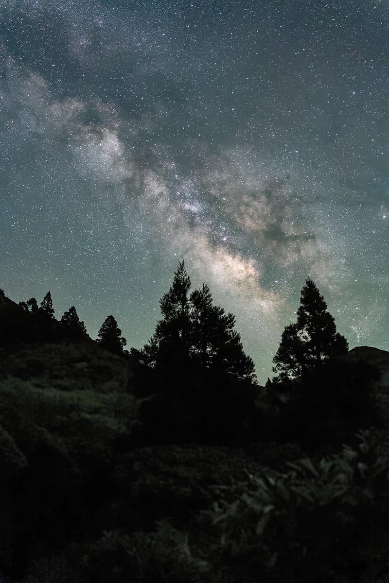 Starry night sky for relaxation